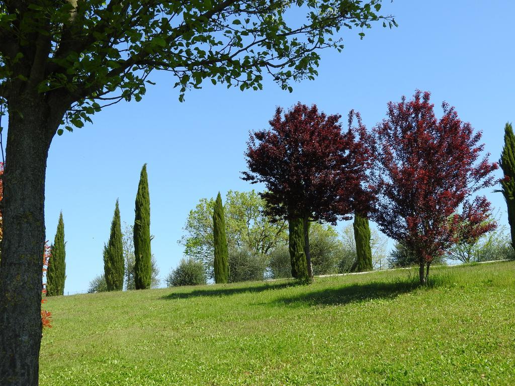 Casa Sorgente Bed and Breakfast San Costanzo Exteriör bild
